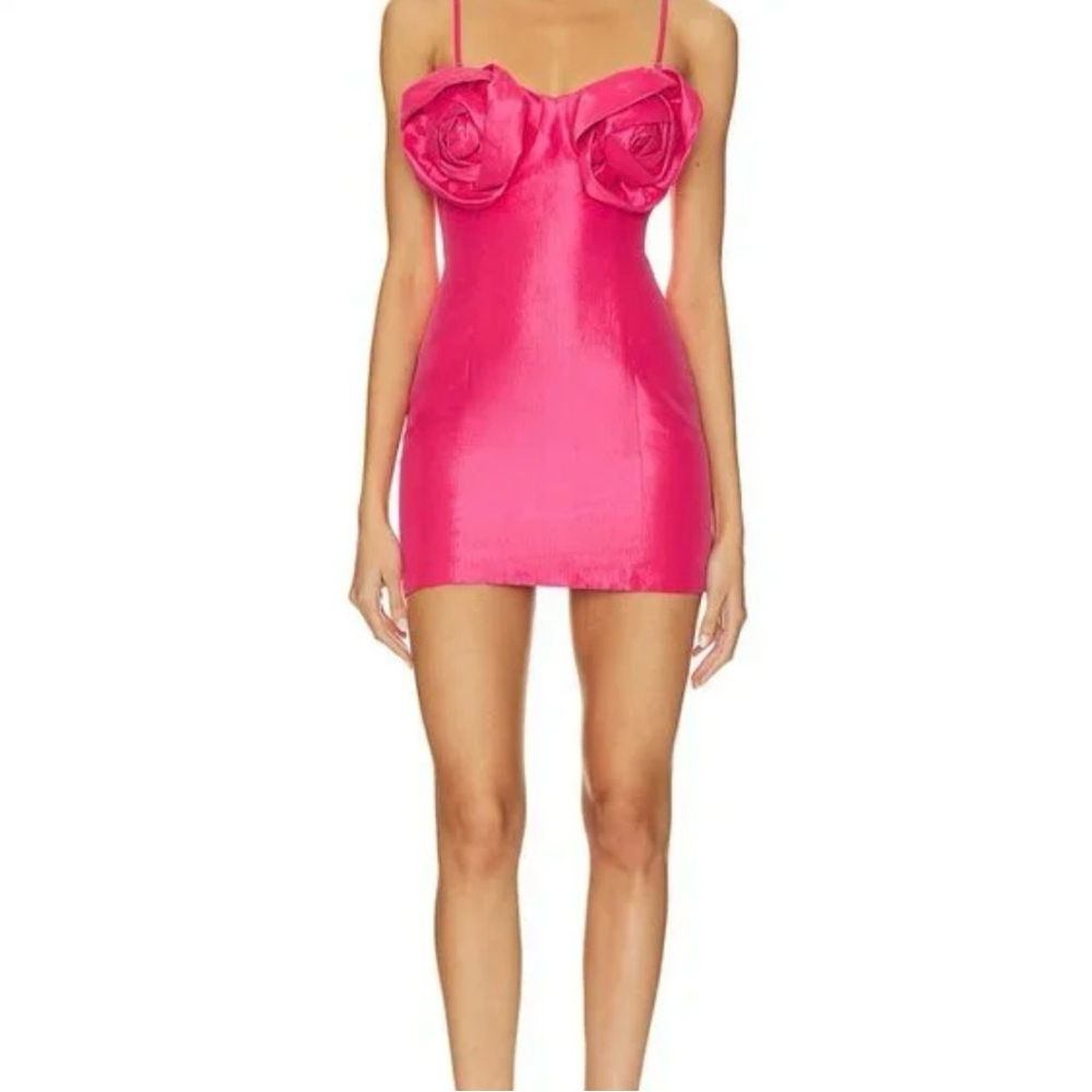 NWOT NBD tacy dress
